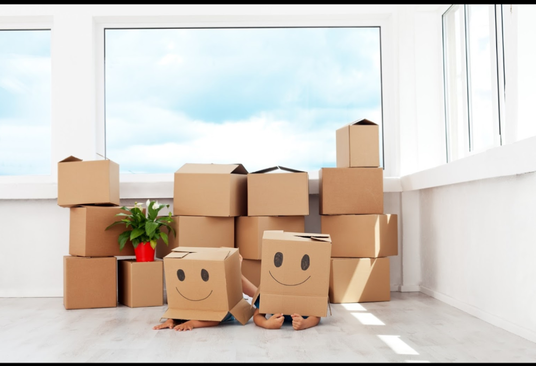 Professional Packing Services